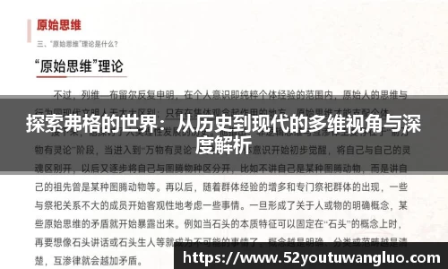 探索弗格的世界：从历史到现代的多维视角与深度解析